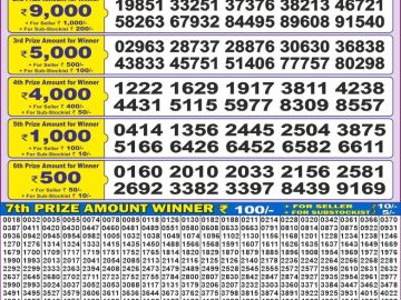 Lottery Result Today November 25, 2024