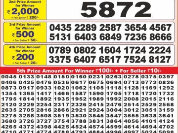 Lottery Result Today November 26, 2024