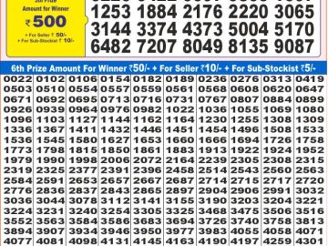 Lottery Result Today November 29, 2024