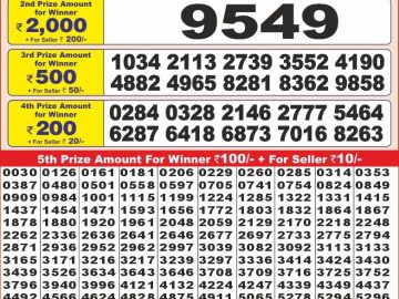 Lottery Result Today November 16, 2024