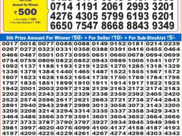 Lottery Result Today December 20, 2024