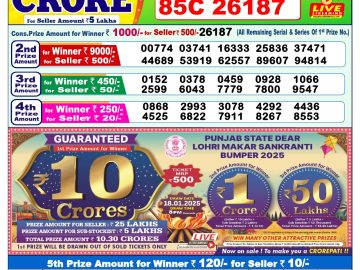 Lottery Result Today December 20, 2024