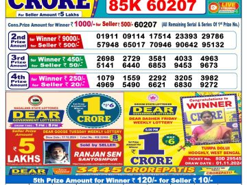 Lottery Result Today December 29, 2024