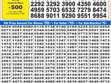 Lottery Result Today December 21, 2024