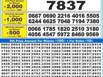 Lottery Result Today December 13, 2024