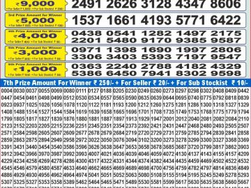 Lottery Result Today December 31, 2024