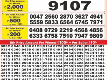 Lottery Result Today December 20, 2024