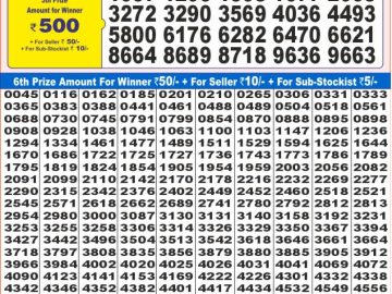 Lottery Result Today December 29, 2024