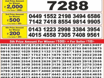 Lottery Result Today December 2, 2024