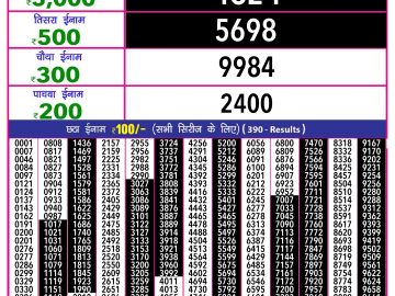 Lottery Result Today December 20, 2024