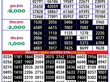 Lottery Result Today December 31, 2024