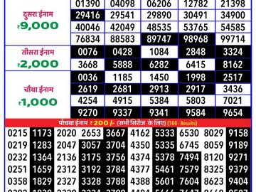 Lottery Result Today December 20, 2024