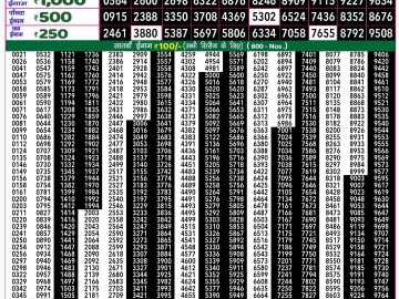 Lottery Result Today December 4, 2024