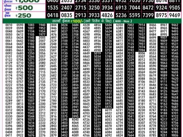 Lottery Result Today December 17, 2024