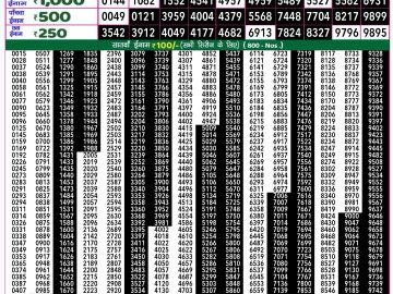 Lottery Result Today December 24, 2024