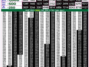 Lottery Result Today December 31, 2024