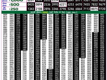 Lottery Result Today December 1, 2024