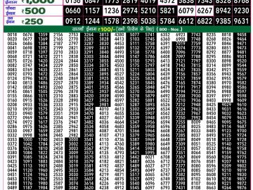 Lottery Result Today December 14, 2024