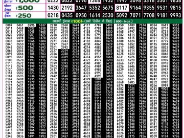 Lottery Result Today December 6, 2024