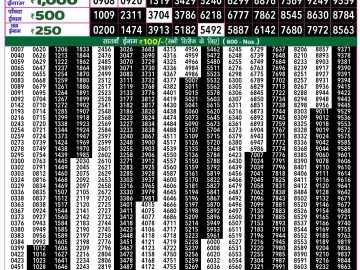 Lottery Result Today December 20, 2024