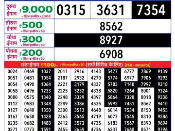 Lottery Result Today December 20, 2024