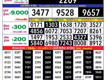 Lottery Result Today December 20, 2024