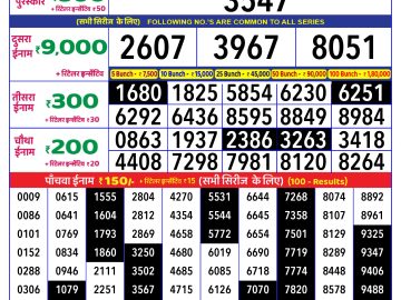 Lottery Result Today December 31, 2024