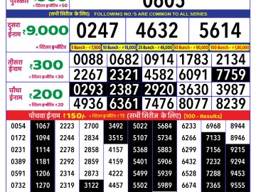 Lottery Result Today December 31, 2024