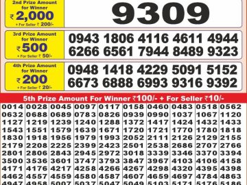 Lottery Result Today December 22, 2024