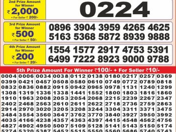 Lottery Result Today December 31, 2024