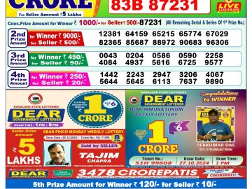 Lottery Result Today January 12, 2025