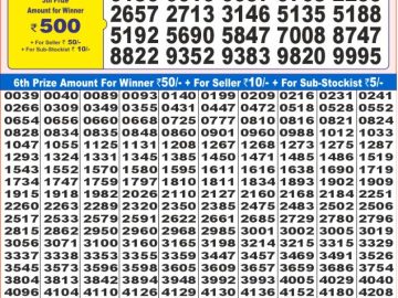 Lottery Result Today January 19, 2025