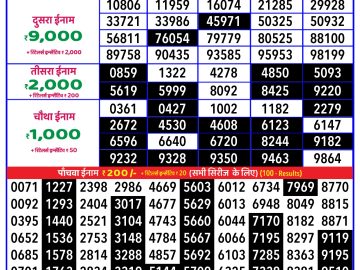 Lottery Result Today January 20, 2025