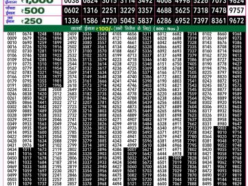 Lottery Result Today January 1, 2025