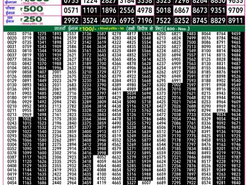 Lottery Result Today January 14, 2025