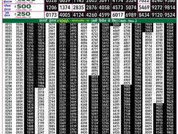 Lottery Result Today January 19, 2025