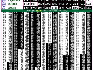 Lottery Result Today January 10, 2025