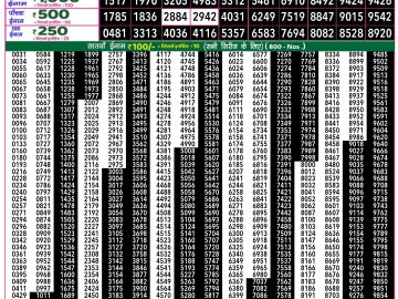 Lottery Result Today January 20, 2025