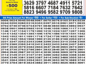 Lottery Result Today January 5, 2025