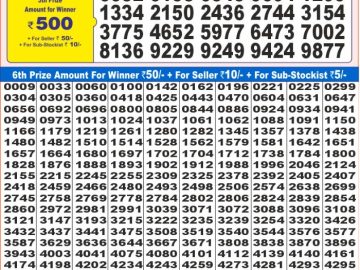 Lottery Result Today January 11, 2025