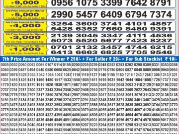 Lottery Result Today January 11, 2025