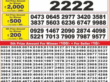 Lottery Result Today January 20, 2025