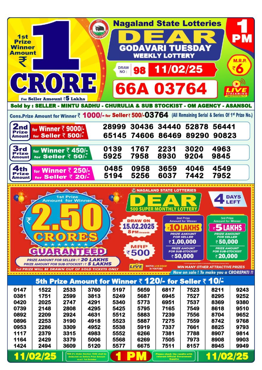 Lottery Result Today February 11, 2025